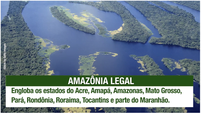 amazonia-4